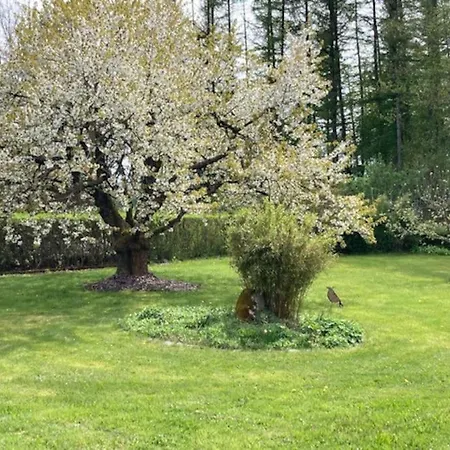 Ferienwohnung Gartenrast